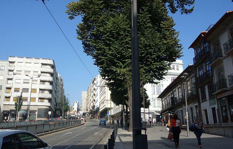 Ceuta Inn Porto Kültér fotó